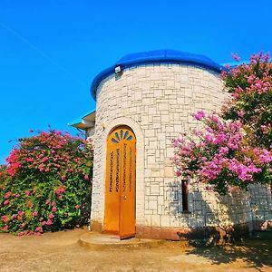 Blue Guest House Samtredia Exterior photo