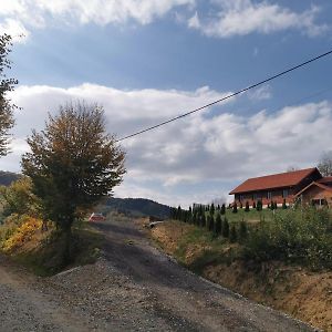 Hotel Cabana Valea Popii à Sita Buzăului Exterior photo