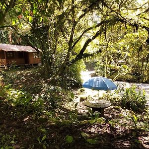 Villa Bosque Secreto - Private Cabin And Camping à Quito Exterior photo
