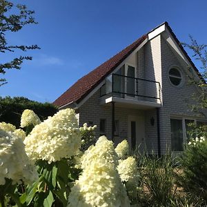 Villa Heerlijk Vakantiehuis Bij Zwembad En Golfbaan à Delden Exterior photo