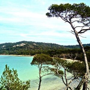 Appartement Ile De Porquerolles : T3 Climatise Vue Mer Exterior photo