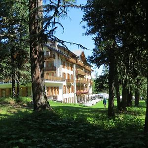 Grand Hôtel&Kurhaus Arolla Exterior photo