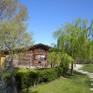 Villa Cascina Beneficio à Castelnuovo Bormida Exterior photo