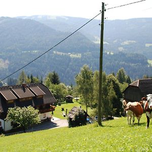 Ferienwohnung Lahnerhof Arriach Exterior photo