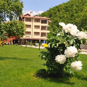 Family Hotel Delta Ognyanovo  Exterior photo