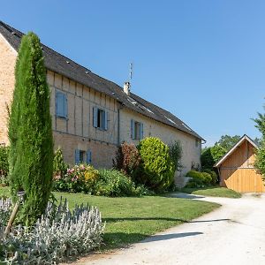 Bed and Breakfast Maison d'Hôtes La Maison de Léopold à Terrasson Exterior photo