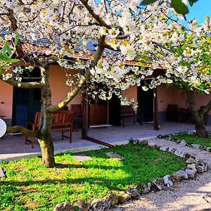 Don Federico Country Inn Moscufo Exterior photo