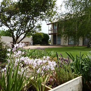 Coonawarra Motor Lodge Penola Exterior photo