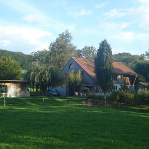 Bed and Breakfast Bnb Pavillon Paisible à Orsonnens Exterior photo