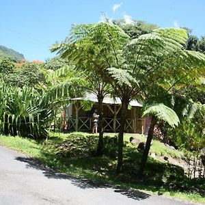 Hotel Natty Tropical Valley à Roseau Exterior photo