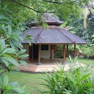 Hotel Sananda Bungalow à Lovina Beach Exterior photo