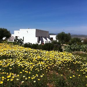 Maison d'hôtes Cortijo El Campillo à Los Albaricoques Exterior photo