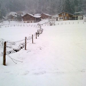 Appartement Chalet Murmeli à Eigenthal Exterior photo