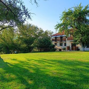 Hotel Pensiunea Agroturistica Ica à Valea Drăganului Exterior photo