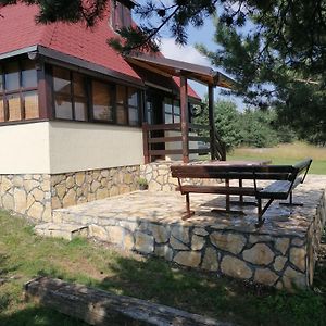 Villa Zeleni Breg à Zlatibor Exterior photo