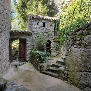 Gîte Pommier au Château des Pauses Saint-André-de-Majencoules Exterior photo