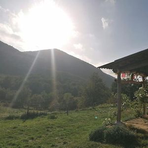 Villa Bright Loft With Mountain And Nature View à Sougraigne Exterior photo