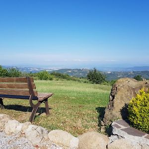 Villa Agriturismo Le Casaline à Seggiano Exterior photo