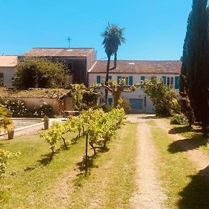 Villa Gite Des Fleurs à Cozes Exterior photo