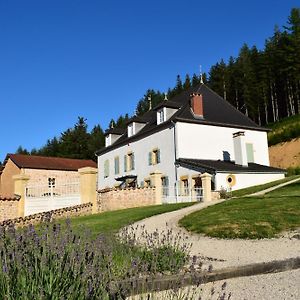 Hotel Le Domaine De La Source à Chauffailles Exterior photo