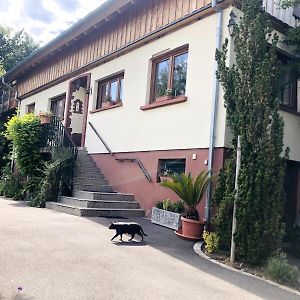 Villa Gite de Léa à Bischwiller Exterior photo