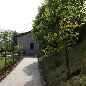 Bed and Breakfast Gelsomino à Morano Calabro Exterior photo