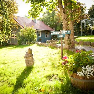 Bed and Breakfast Slieve Aughty Centre à Loughrea Exterior photo