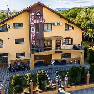 Hotel Pensiunea Teo à Caransebeş Exterior photo