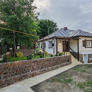 Villa Casa Tihna à Băile Olăneşti Exterior photo