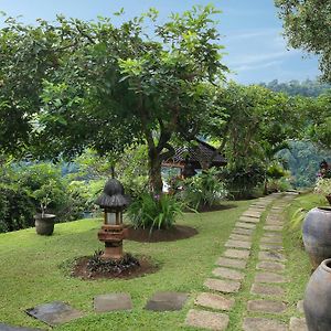 Villa Patria Lovina Beach Exterior photo