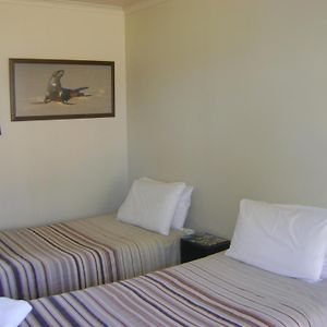 Hotel Catlins Newhaven Holiday Park à Owaka Room photo