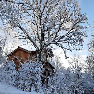 Les Cabanes du Herisson Bonlieu Exterior photo