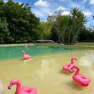 Le Patio, chambres d hôtes pour adultes en Camargue, possibilité de naturisme à la piscine, Aimargues Exterior photo