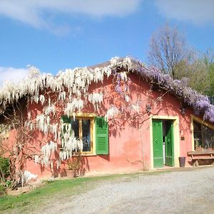 Villa Agriturismo Cascina Degli Ulivi à Novi Ligure Exterior photo