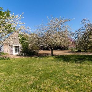 Villa Charmante Maison De Campagne Pres Des Vignes Avec Wifi, Bbq Et Proche D'Angers Et Saumur - Fr-1-622-68 à Coutures  Exterior photo