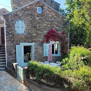 Villa Maison Corse - Cap Corse à Sisco Exterior photo