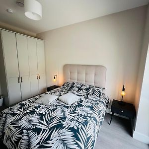 Private King Size Room In Well Decorated Shared Flat Dublin Exterior photo