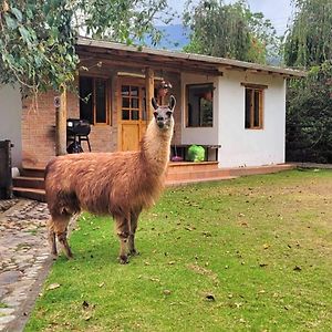Villa Minicasas Romntica Al Pie Del Volcn à Otavalo Exterior photo