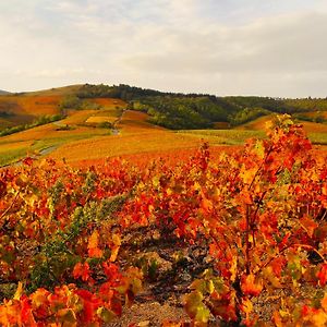 Villa Le Panoramic Chiroubles Beaujolais Exterior photo