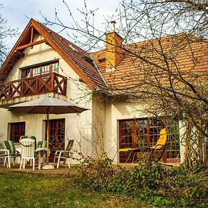 Pine Grove Villa Gödöllő Exterior photo