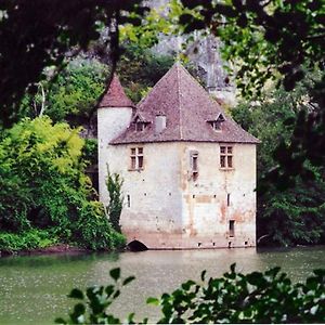 Villa Le Moulin De La Toulzanie à Saint-Martin-Labouval Exterior photo