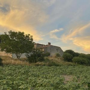 Villa La Chaumiere à Salles-Lavalette Exterior photo