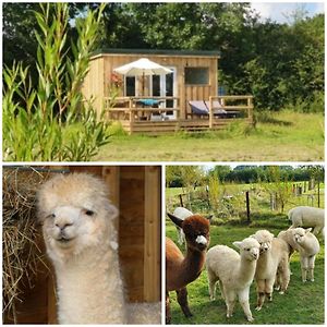 Villa Dartmoor Reach Alpaca Farm Heated Cabins 5 Mins Drive To Dartmoor à Bovey Tracey Exterior photo