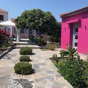 Villa Samos Garden Studio à Mytilinioi Exterior photo