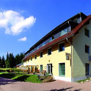 Waldhotel Am Aschergraben Geising Exterior photo