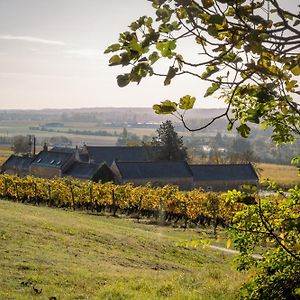 Domaine de Beauséjour Panzoult Exterior photo