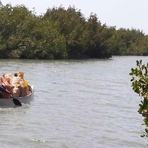 Bed and Breakfast Mangrove Beach à Sanyang Exterior photo