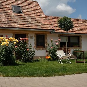 Appartement Zsófi Vendégház à Szekszárd Exterior photo