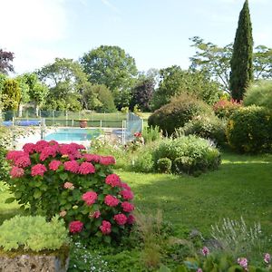 Hotel Cinegite Du Jardin Aux Etoiles - Proche De Saint Emilion Exterior photo