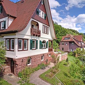 Villa Familienglueck Im Schwarzwaldhaus Mit Schlossblick à Neuenburg  Exterior photo